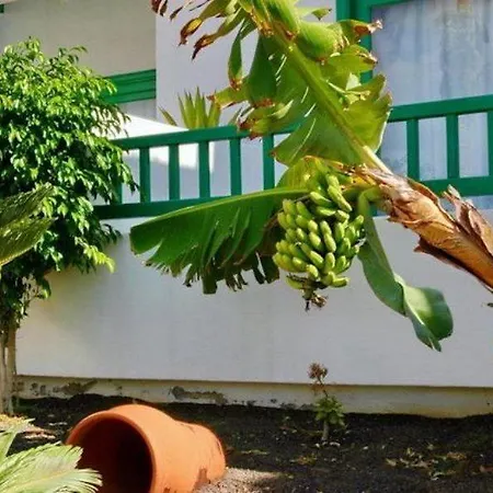 Neptuno - Adults Only * Costa Teguise